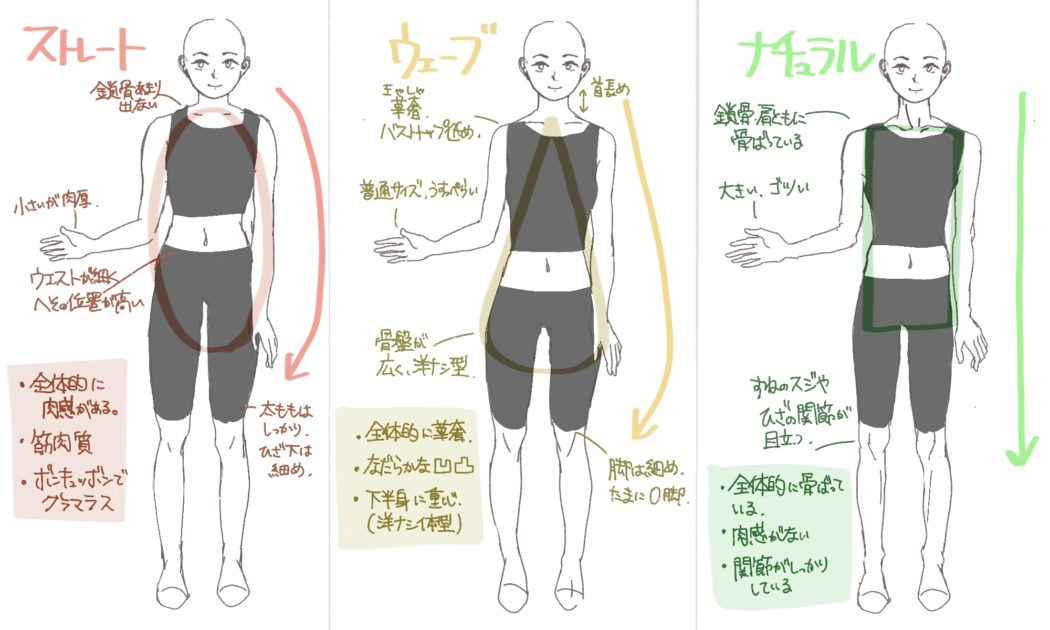 ジェンダーレスファッションで参考になる骨格の３タイプとは イラストで紹介 グラデなライフ